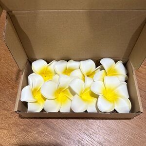 Yellow and White Plumeria Flower Clips for Hair or Party